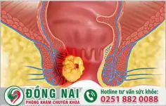 da khoa hong phuc