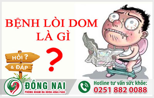 Lòi dom là bệnh gì? Cách chữa hiệu quả nhanh hết