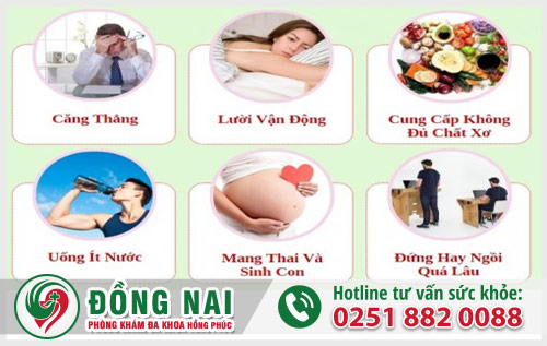 Lòi dom là bệnh gì? Cách chữa hiệu quả nhanh hết