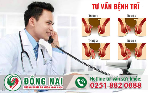 Bị sa búi trĩ là gì? Cách điều trị nhanh chóng và dứt bệnh không tái phát