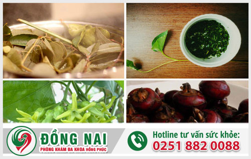 Chữa trị bệnh trĩ bằng thuốc nam hiệu quả không?
