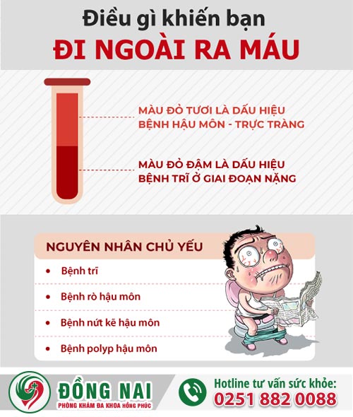 Triệu chứng bệnh ỉa ra máu