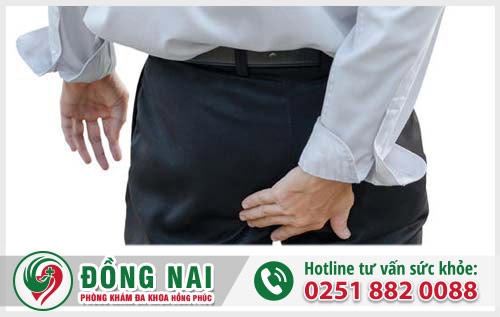 Lòi dom là bệnh gì?