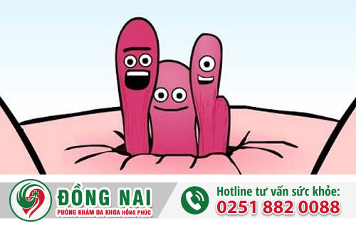 Lòi trĩ có sao không?