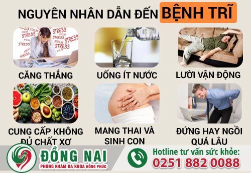 5 nguyên nhân dẫn đến bệnh trĩ mà bạn không ngờ đến