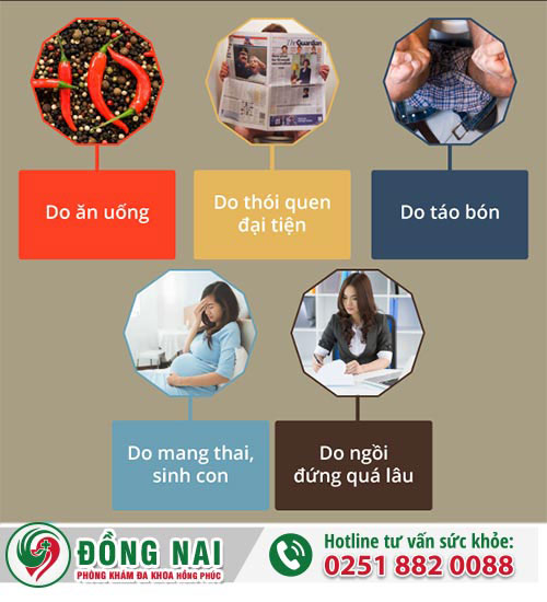 Nguyên Nhân Gây Bệnh Trĩ – Những Tác Hại Khôn Lường