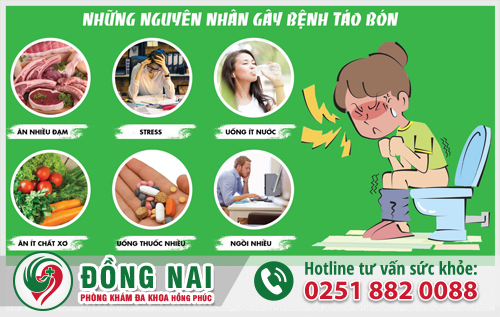 Có nhiều nguyên nhân dẫn đến chứng táo bón mà bạn nên biết