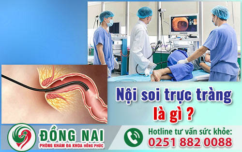 Nội soi trực tràng là gì? Nội soi trực tràng có đau không?