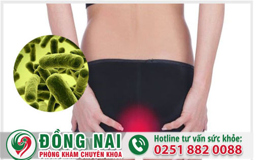 Sẽ nguy hiểm thế nào nếu vi khuẩn xâm nhập hậu môn?