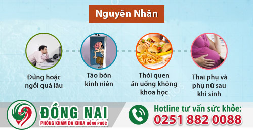 Các nguyên nhân trĩ nội chủ yếu