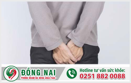 Thế nào là bệnh trĩ nội - Những nguy hại cũng như tác hại của trĩ nội ra sao?