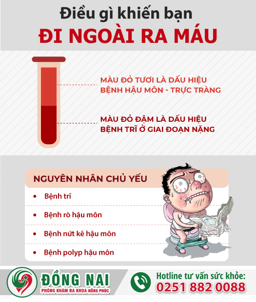 Triệu chứng bệnh ỉa ra máu