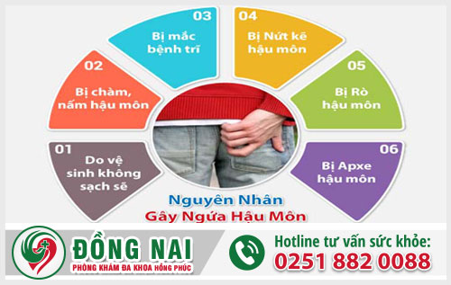 Triệu chứng ngứa hậu môn là bệnh gì?